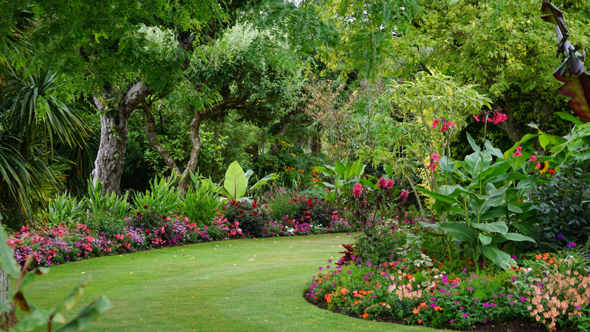 Além de renovar a aparência do jardim, a poda no inverno favorece o florescimento e o crescimento de diversas espécies (Foto: Silviu Muresan/ Pexels)