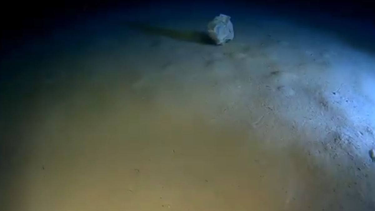 O Calypso Deep, considerado o ponto mais profundo do Mediterrâneo, revelou um cenário preocupante de poluição marinha (Reprodução: Oceanus-Lab/ YouTube)