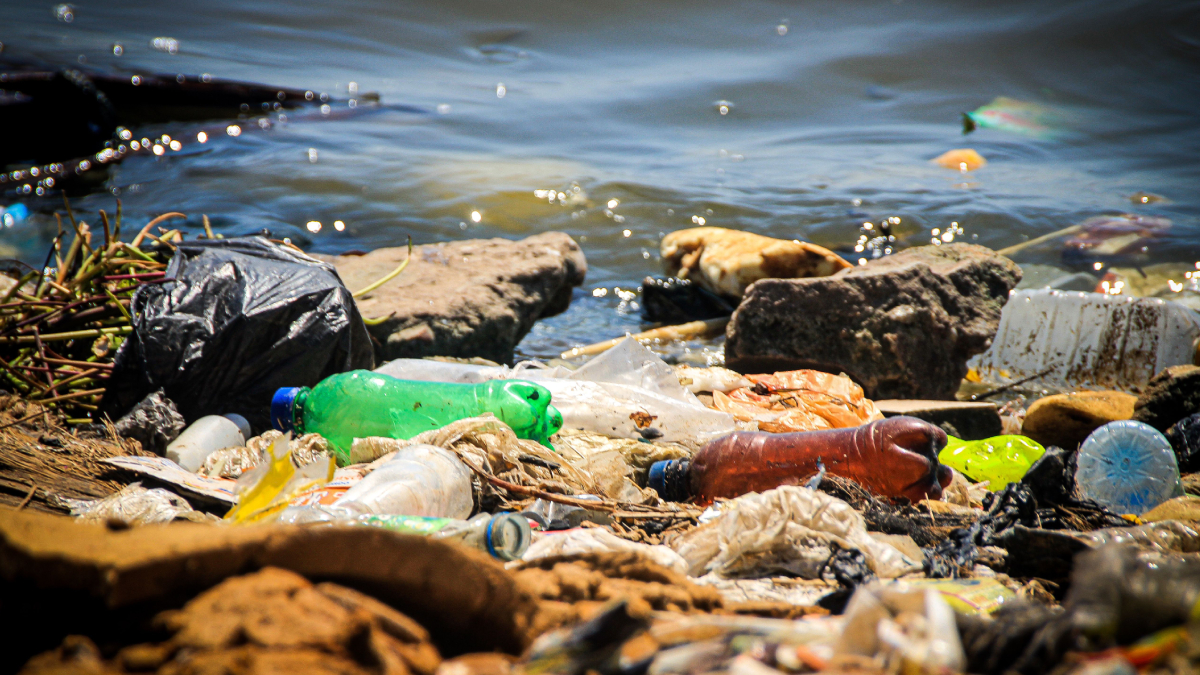 Imagem da expedição revela o impacto da atividade humana em um dos ambientes mais extremos dos oceanos (Foto: Rui Stenio/ Pexels)