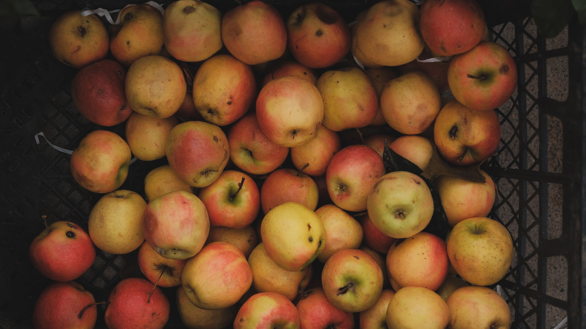 Com poucos ingredientes, a vitamina de batata-doce e maçã pode complementar uma alimentação equilibrada (Foto: Ebahir/ Pexels)