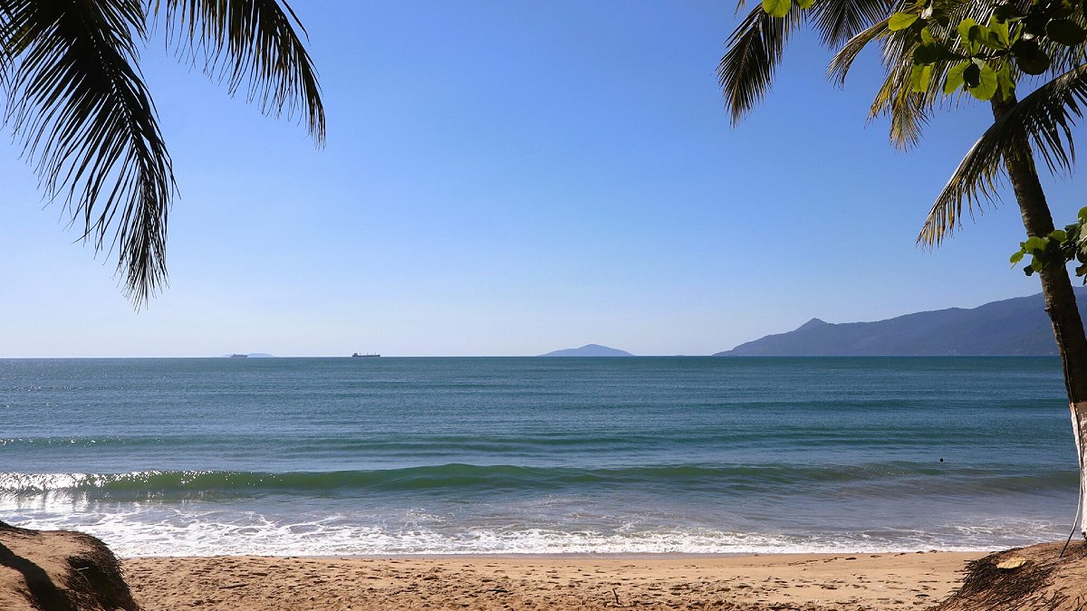 Vista panorâmica da Praia de Martim de Sá a partir da faixa de areia dourada, emoldurada por folhas de coqueiros nos cantos superiores esquerdo e direito. O mar esverdeado apresenta pequenas ondas com espuma branca quebrando na orla. Ao fundo, sob um céu azul límpido e sem nuvens, destaca-se a silhueta das montanhas da Ilhabela e pequenos navios distantes no horizonte