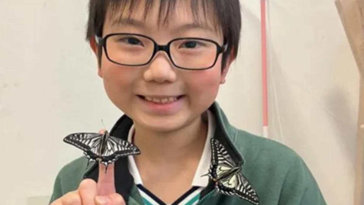 A curiosidade de um garoto de 10 anos resultou em uma descoberta que pode ampliar os estudos sobre memória transgeracional em insetos (Foto: Masason Foundation)