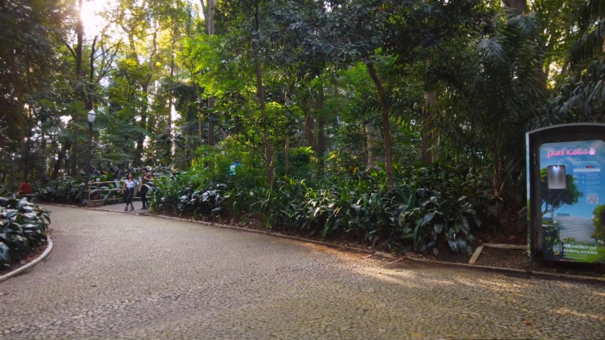 Parque Trianon na Paulista em São Paulo (Foto_ Reprodução YouTube_São Paulo Urbana) (6)