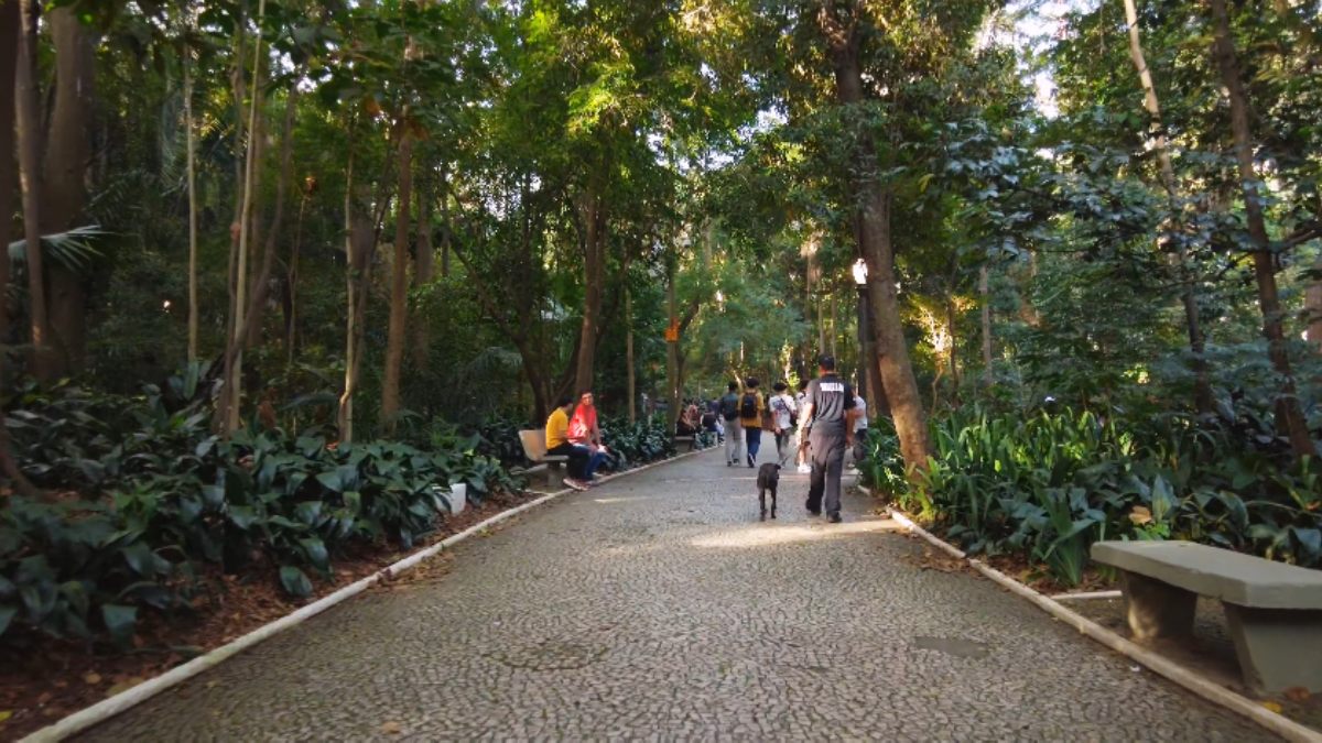 Parque Trianon na Paulista em São Paulo (Foto_ Reprodução YouTube_São Paulo Urbana) (6)