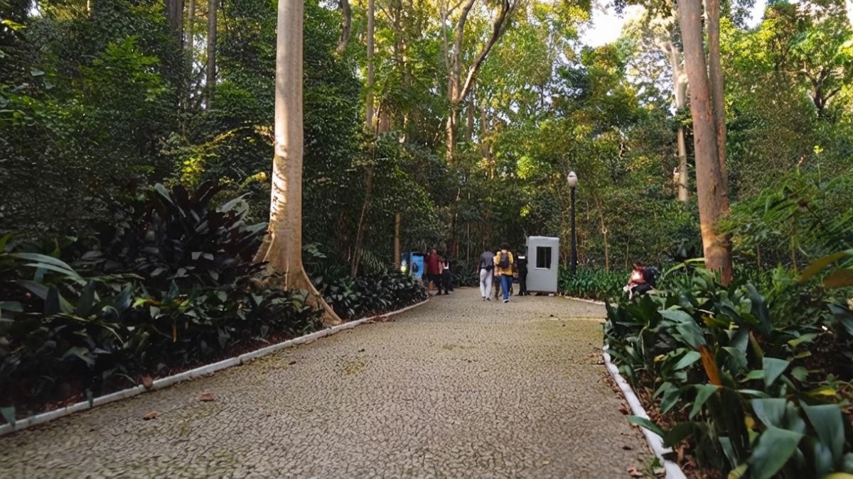 Parque Trianon na Paulista em São Paulo (Foto_ Reprodução YouTube_São Paulo Urbana) (6)