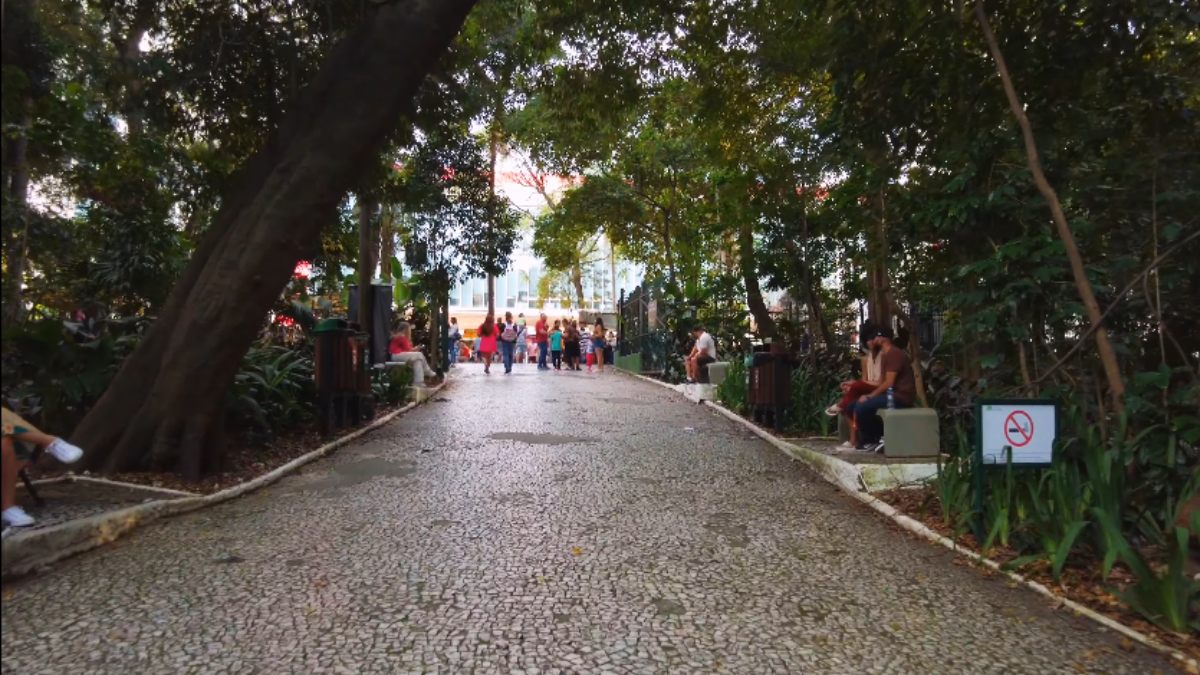 Parque Trianon na Paulista em São Paulo (Foto_ Reprodução YouTube_São Paulo Urbana)