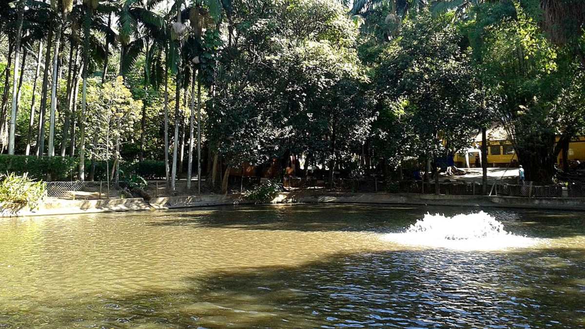 Parque da Água Branca SP (Foto_ Dornicke_Wikimedia Commons) (2)