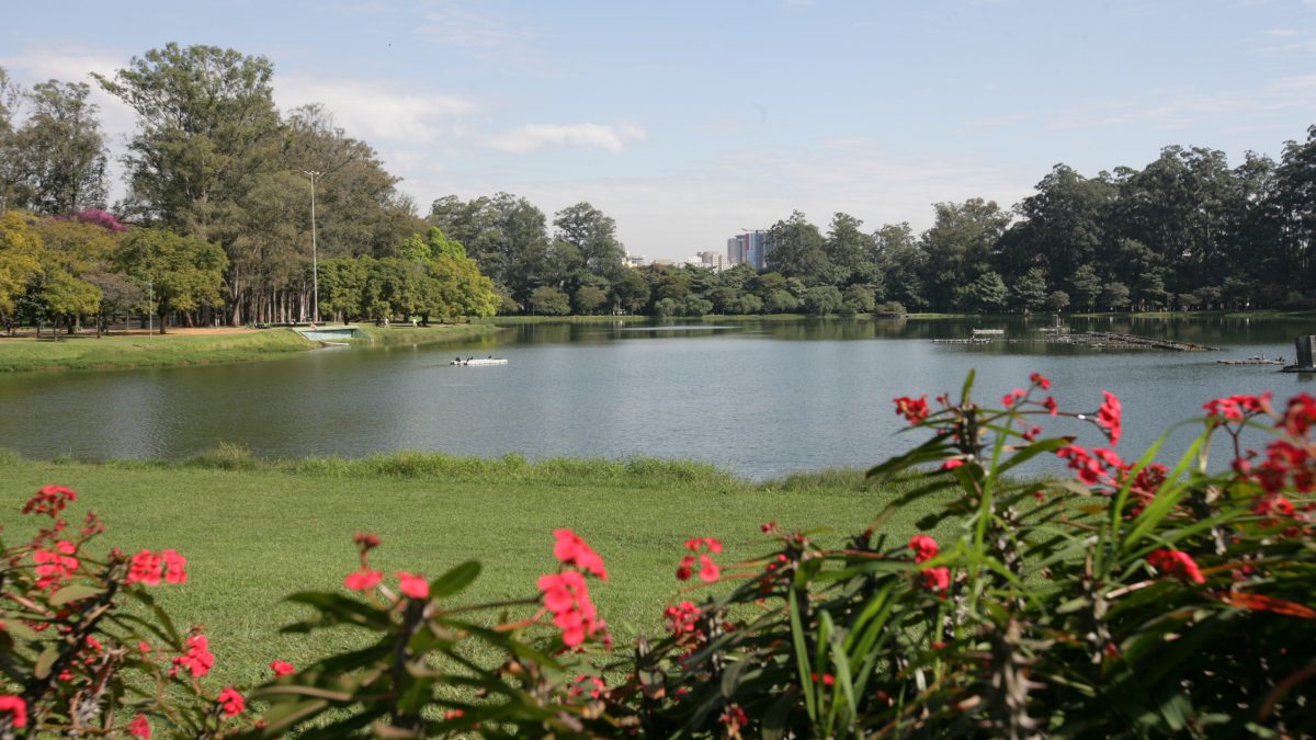 Parque do Ibirapuera cred Thiago Neme