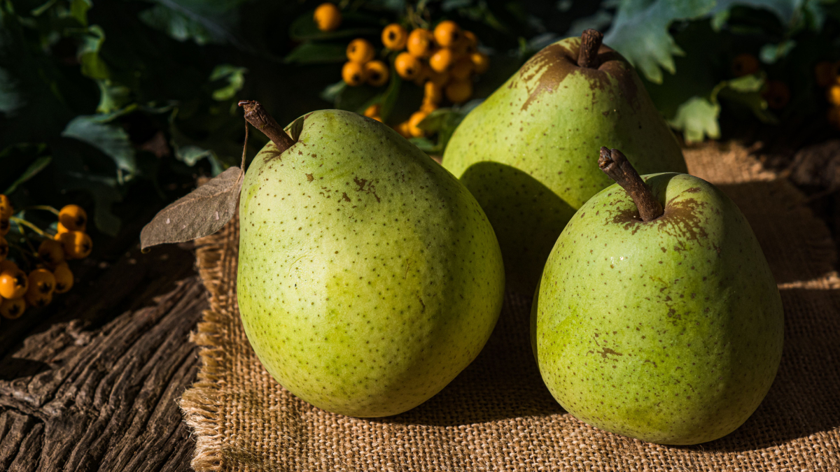 Rica em fibras, a pera ajuda na saciedade e pode fazer parte de uma alimentação equilibrada (Foto: Ylanite Koppens/ Pexels)