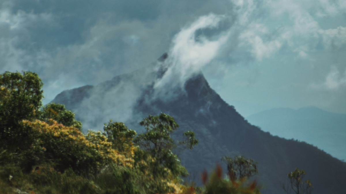 Envolto pela floresta amazônica, o Pico da Neblina reúne rica biodiversidade e paisagens impressionantes (Foto: Kaique Rocha/ Pexels)