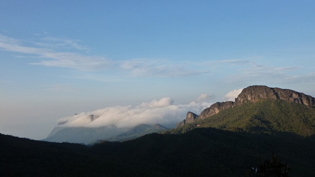 Considerado um dos maiores patrimônios naturais do país, o Pico da Neblina combina preservação ambiental e importância cultural (Foto: Michellblind/ Wikimedia Commons)