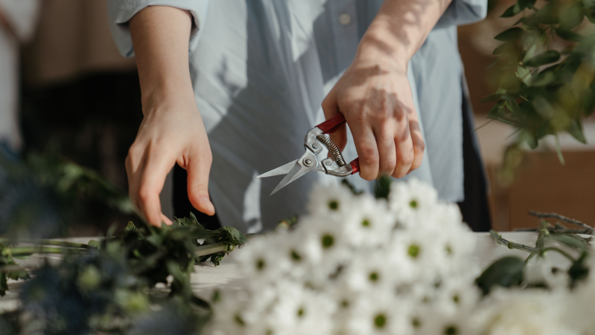 A poda realizada durante o inverno ajuda a fortalecer árvores, arbustos e plantas ornamentais para a chegada da primavera (Foto: cottonbro studio/ Pexels)