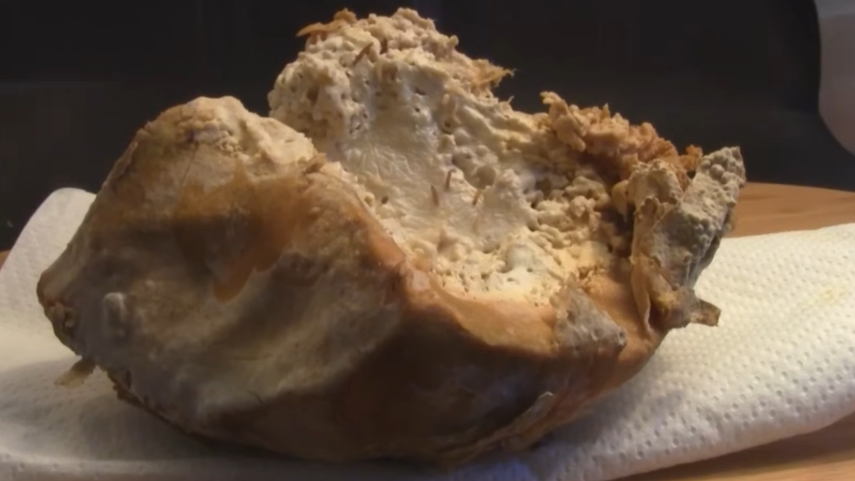 Apesar da proibição comercial, o Casu Marzu ainda é produzido artesanalmente em regiões da Sardenha (Reprodução: Culinspire/ YouTube)