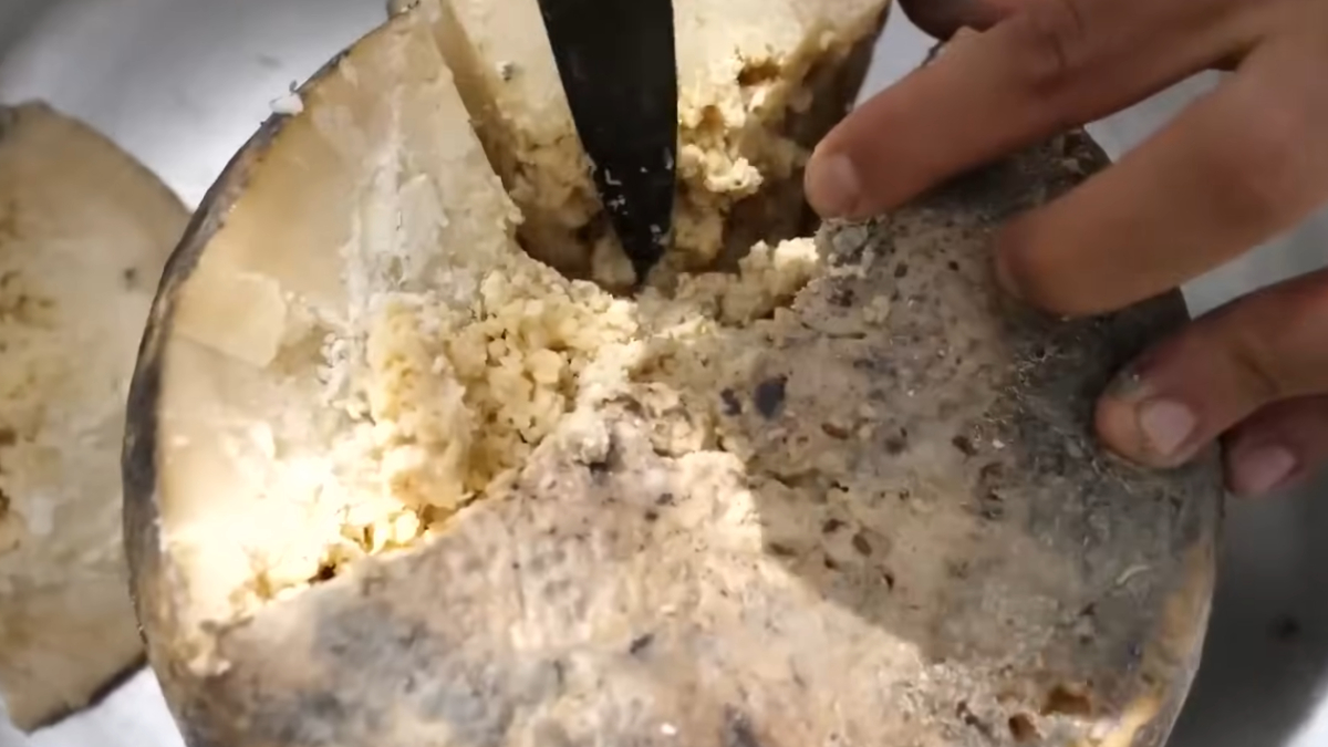 O processo de fermentação do Casu Marzu transforma sua textura e o torna um dos queijos mais curiosos do mundo (Reprodução: Culinspire/ YouTube)