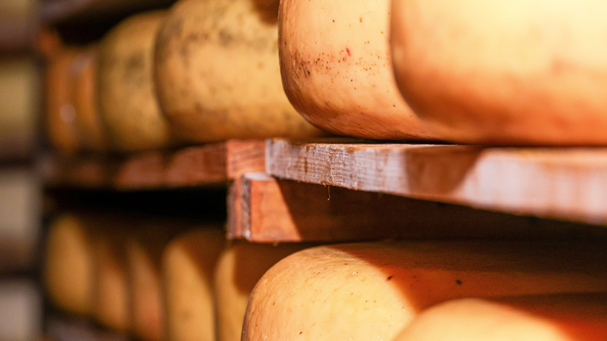 Produzido na ilha da Sardenha, o Casu Marzu divide opiniões entre tradição gastronômica e segurança alimentar (Foto: Magda Ehlers/ Pexels)