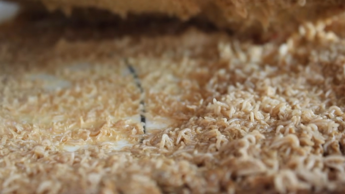 As larvas vivas fazem parte do processo de fermentação que torna o Casu Marzu famoso no mundo todo (Foto: nycsushi/ YouTube)