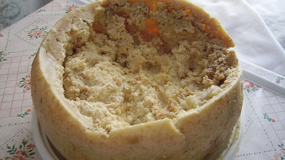 Considerado um dos queijos mais controversos do mundo, o Casu Marzu é proibido em diversos países (Foto: Shardan/ Wikimedia Commons)