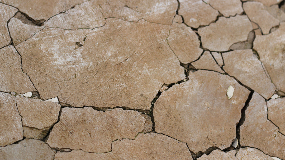 Falhas geológicas antigas explicam por que o Nordeste lidera os registros de terremotos no território brasileiro (Foto: Yuri Elizegi/ Pexels)