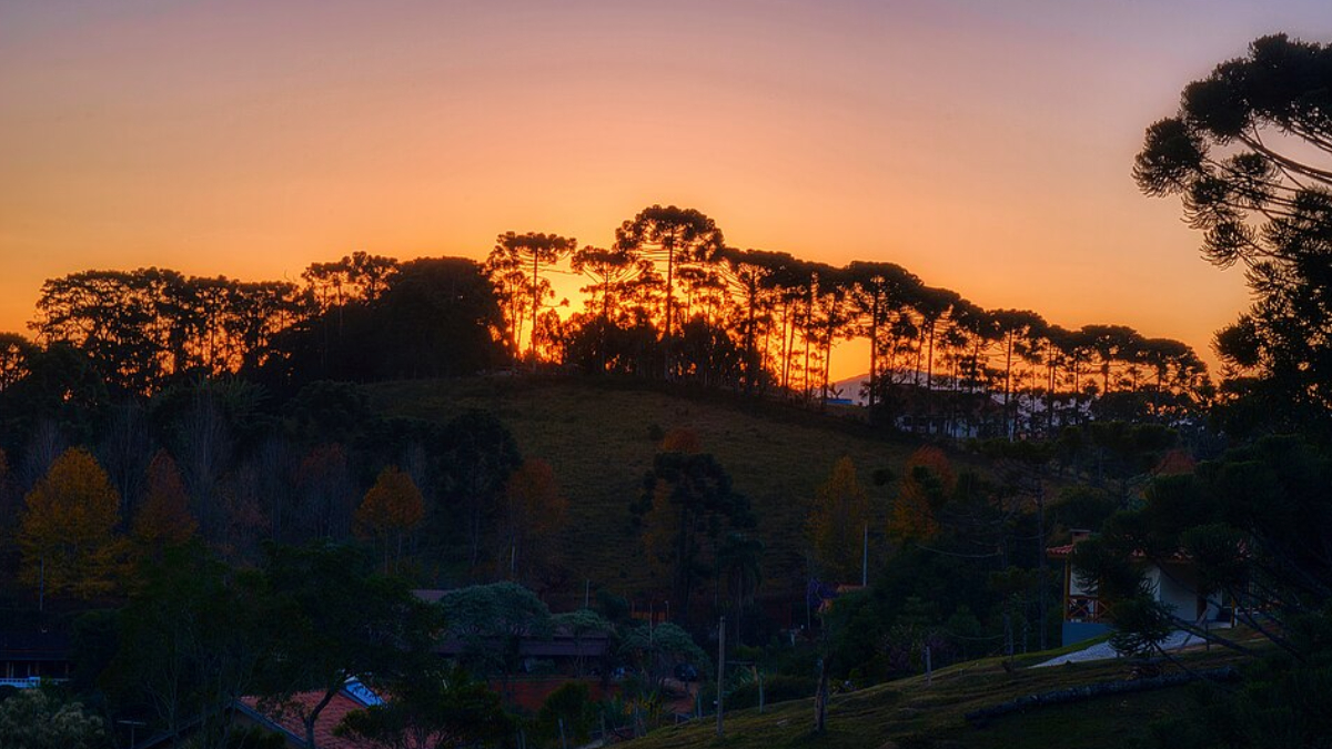 Mais tranquila que Campos do Jordão, Santo Antônio do Pinhal oferece mirantes, natureza e boa gastronomia (Foto: Rafael Vianna Croffi/ Wikimedia Commons)