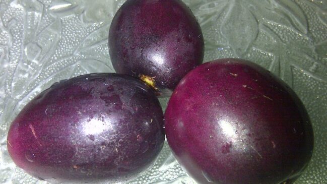 Por conta da sua cor forte, a fruta pode causar manchas indesejadas (Foto: Aftabbanoori/Wikimedia Commons)