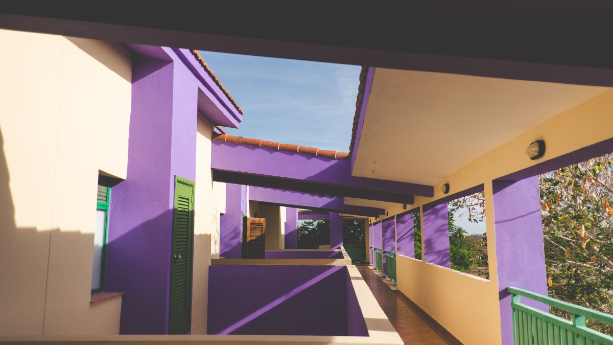 Tons de roxo