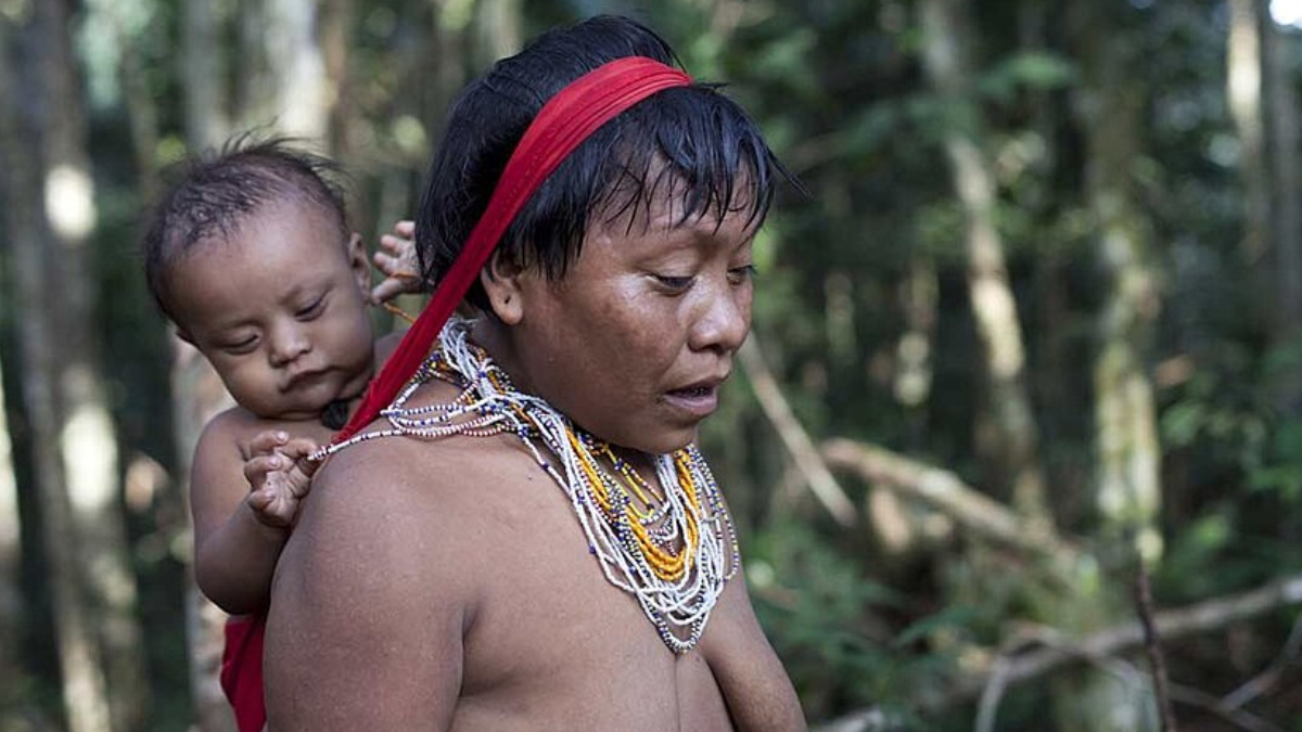 Além da altitude recorde, o Pico da Neblina é símbolo da conservação da Amazônia e da cultura Yanomami (Foto: Sam valadi/ Wikimedia Commons)