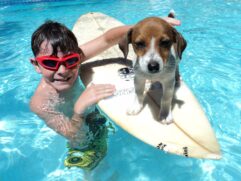 pet friendly; Cachorro dentro da piscina em cima de uma prancha ao lado de uma criança