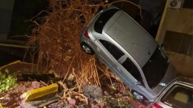 Fotografia noturna de um carro hatch de cor prata em posição quase vertical, suspenso no ar pelas raízes expostas de uma árvore de grande porte que foi totalmente arrancada do solo. O grande torrão de raízes e terra vermelha destruiu o pavimento ao lado do portão de uma residência. No canto inferior direito, é possível ver a traseira de outro veículo estacionado.
