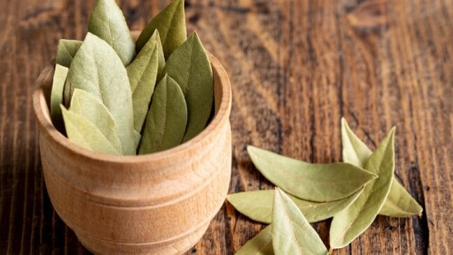 Folhas secas da planta podem ser posicionadas em pontos estratégicos da casa como método complementar para repelir alguns insetos.