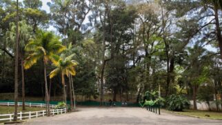 Horto Florestal de SP/Divulgação/Urbia Parques