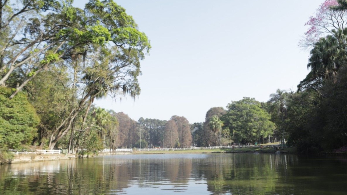 Horto Florestal de SP/Divulgação/Urbia Parques