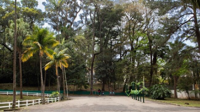 Horto Florestal de SP/Divulgação/Urbia Parques