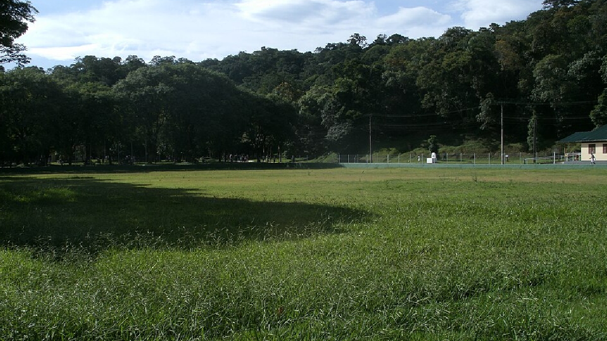 Horto Florestal de SP/Corretor Carvalho/Wikimedia commons
