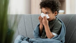 Algumas espécies são apontadas como aliadas para melhorar o ambiente interno, mas não substituem o tratamento da rinite (Foto: Reprodução/Freepik)