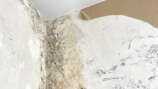 Placas de EPS ajudam a reduzir a condensação em paredes frias, diminuindo as condições para o surgimento de mofo.