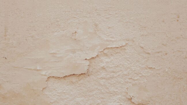 Parede estufada e descascada exige mais do que uma nova pintura: é preciso eliminar a origem da umidade e preparar a superfície corretamente.