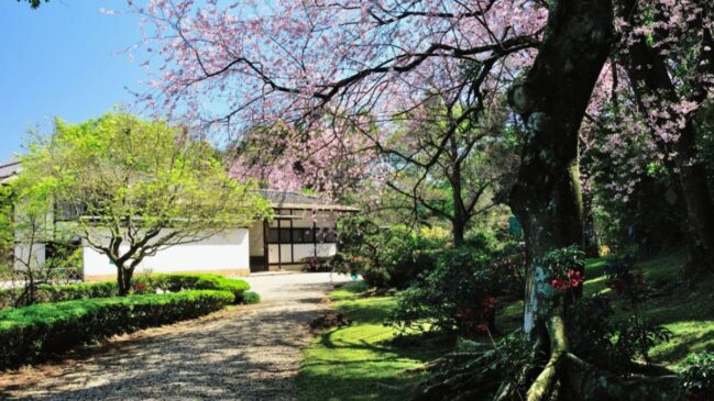 O Pavilhão Japonês preserva a arquitetura tradicional japonesa e pode ser visitado no Parque Ibirapuera, em São Paulo.