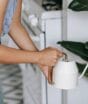 Sentiu o ambiente pesado? Conheça 7 plantas associadas à proteção energética