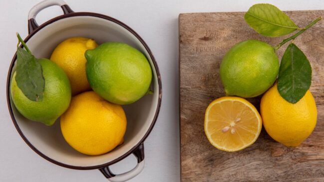 O aroma cítrico do limão e a combinação com o loro afastam insetos sem precisar de veneno (Foto: Freepik)