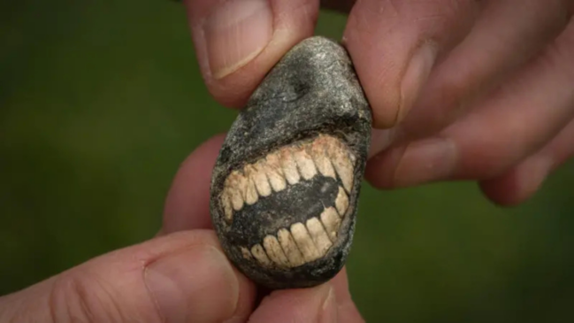 Partido longitudinalmente e curvado dentro da rocha, o caule fossilizado de um crinoide ganhou a aparência de uma boca com dentes. (Foto: Divulgação/Tony Jolliffe)