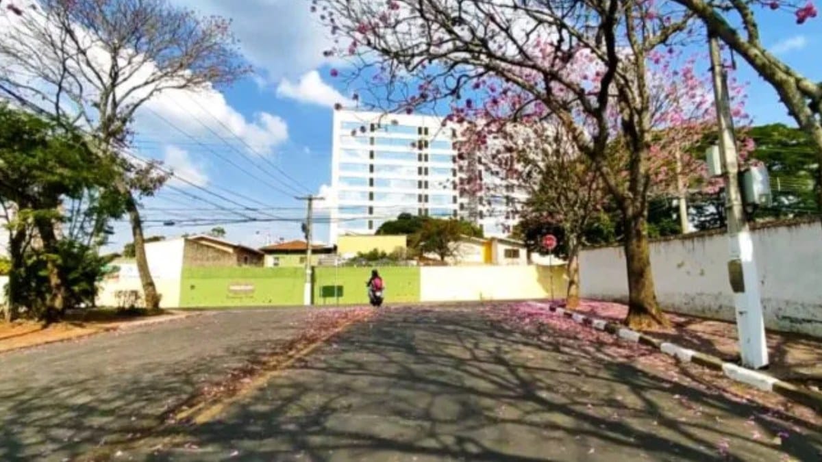 Atibaia Capital Nacional do Morango (Foto_ De Juiz de Fora_Reprodução YouTube)
