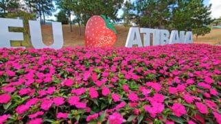 Atibaia Capital Nacional do Morango (Foto_ De Juiz de Fora_Reprodução YouTube) (3)