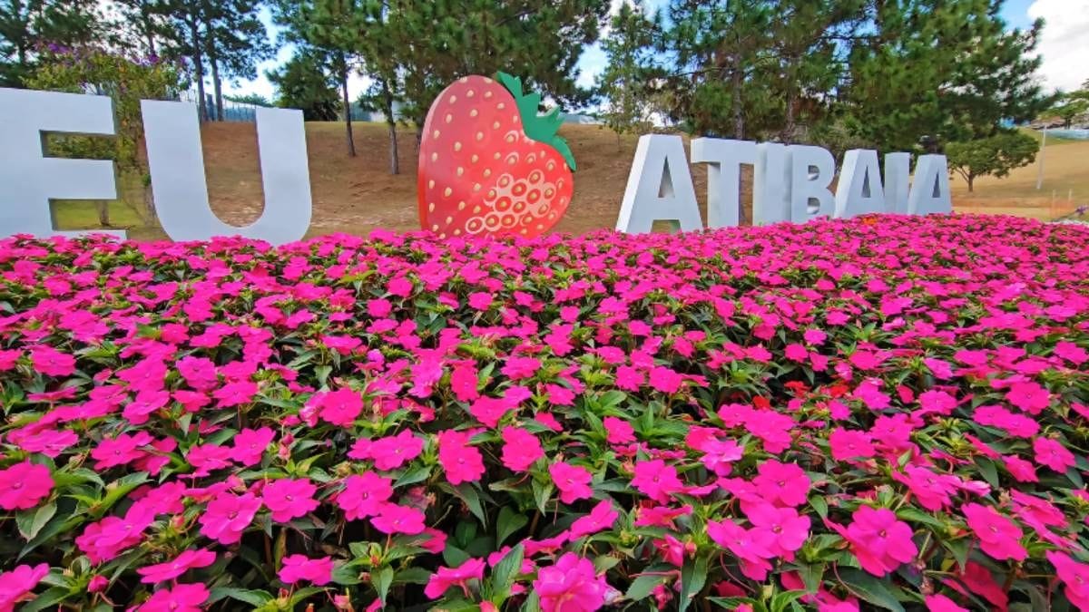 Atibaia Capital Nacional do Morango (Foto_ De Juiz de Fora_Reprodução YouTube) (3)