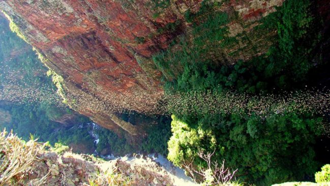 As águas do Cânion do Jatobá podem ganhar tons azulados e esverdeados, criando um dos cenários mais curiosos da Serra Ricardo Franco (Foto: Renato Soares Moreira/ Wikimedia Commons)