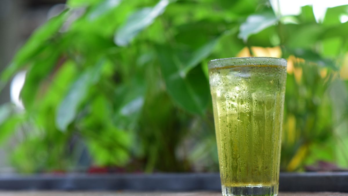 Chá verde (Foto_ Sóc Năng Động_Pexels)