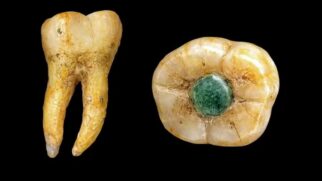 Dente maia (Foto_ Museu Popul Vuh. Universidade Francisco Marroquín) (1)