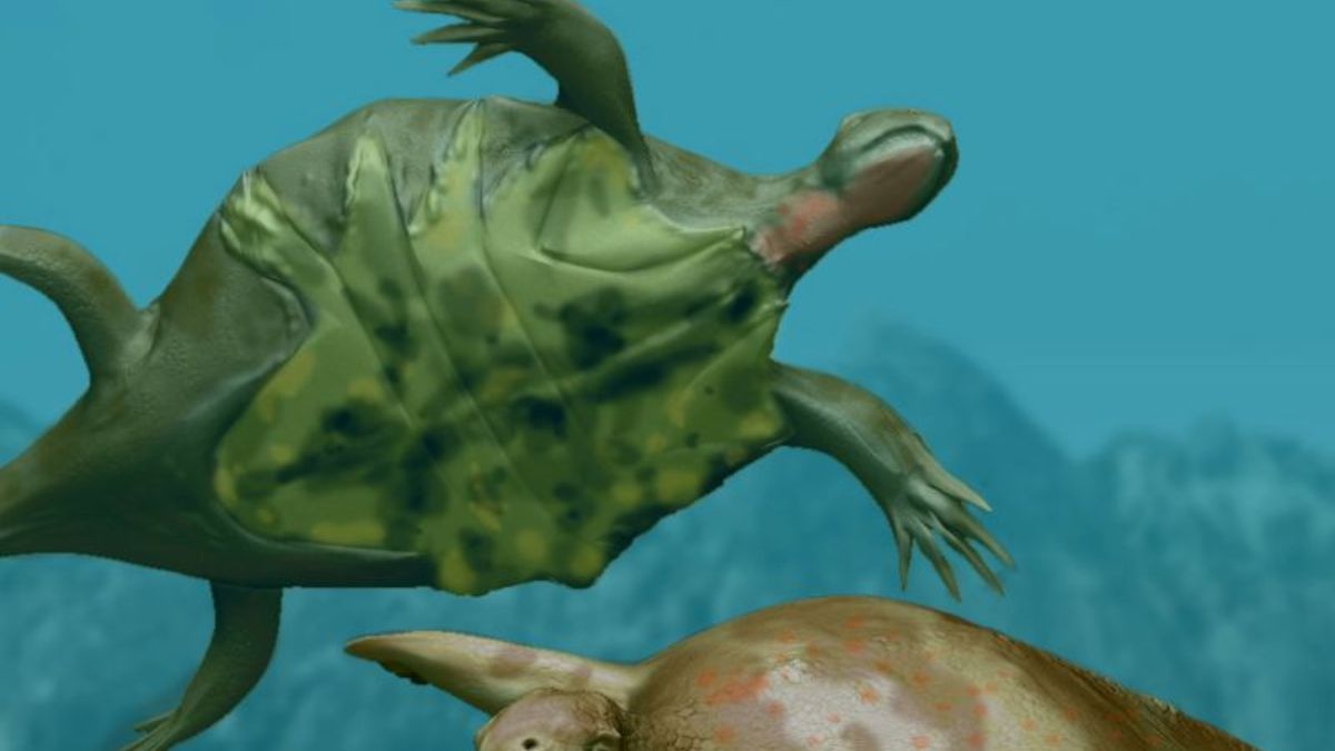fósseis
