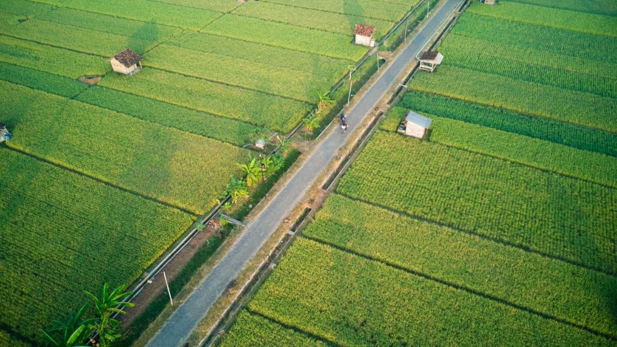 O cruzamento entre CAR, SIGEF e georreferenciamento certificado permitirá identificar diferenças entre os limites informados pelo proprietário e a área efetivamente ocupada