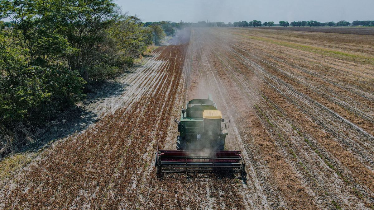 A fiscalização digital compara informações territoriais, ambientais e fiscais para detectar inconsistências que podem impactar o cálculo do Imposto sobre a Propriedade Territorial Rural