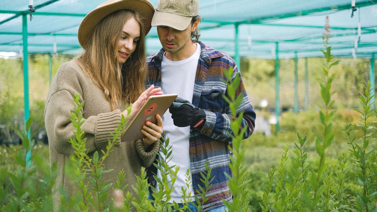 Pessoas físicas com imóveis acima de 100 hectares e pessoas jurídicas deverão transmitir a DITR 2026 pelo portal Gov.br, conforme as regras vigentes